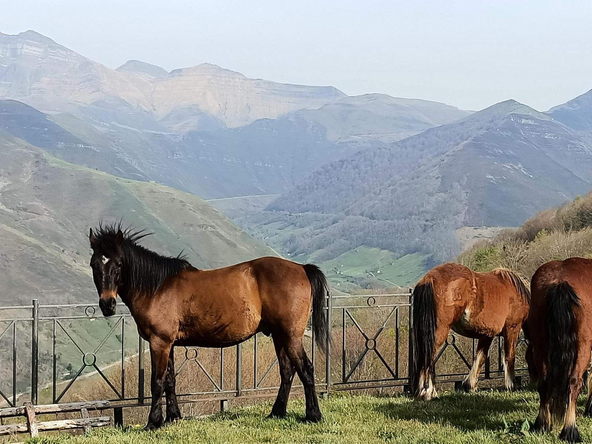 La Cabana Mirador De Los Valles Pasiegos Vega de Pas Εξωτερικό φωτογραφία