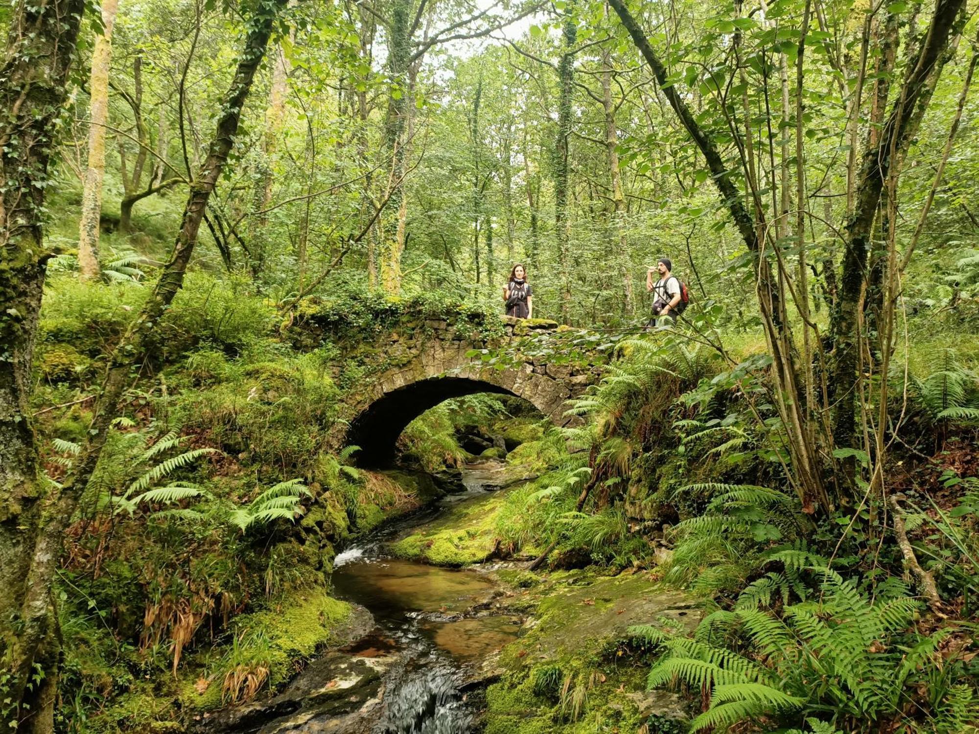 La Cabana Mirador De Los Valles Pasiegos Vega de Pas Εξωτερικό φωτογραφία